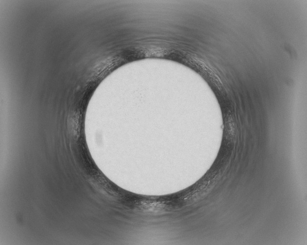 X0000115390311200912151505