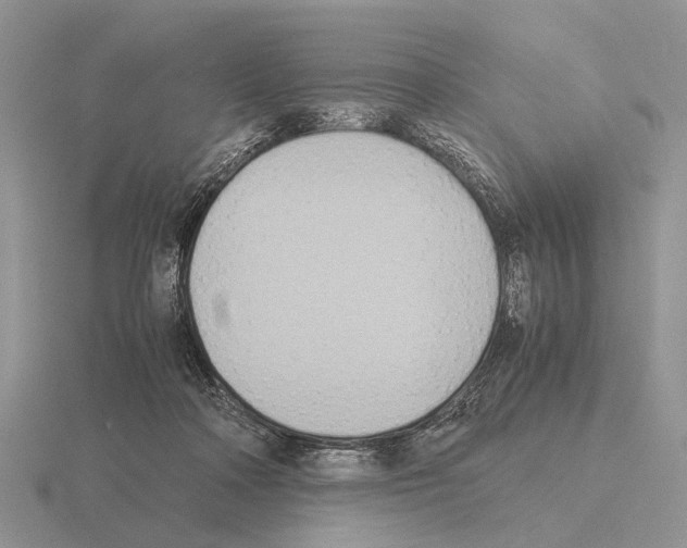 X0000115390314200912151505