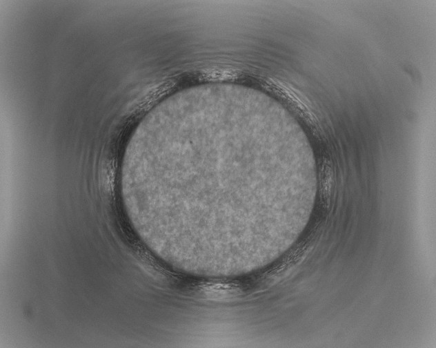 X0000115390315200912151505