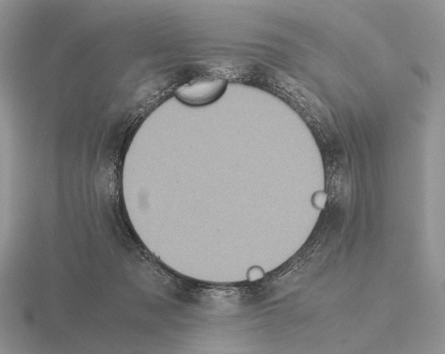 X0000115390317200912151505