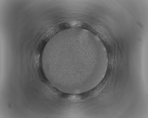 X0000115390319200912151505