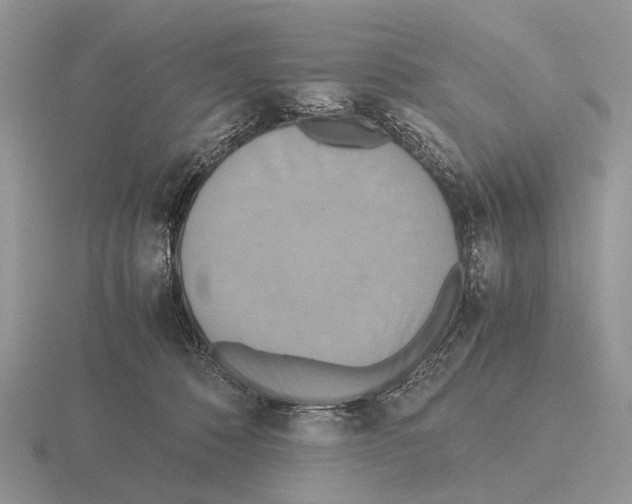 X0000115390320200912151505