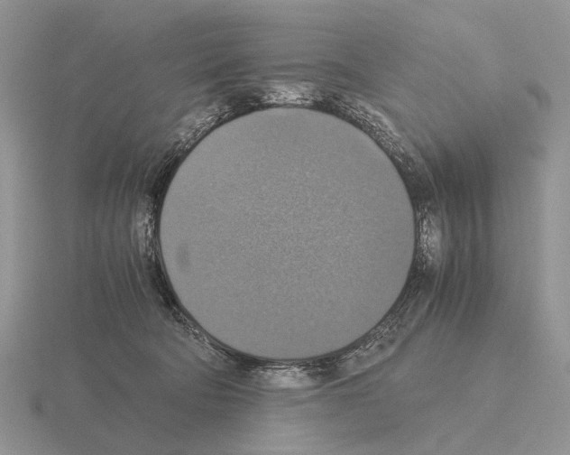 X0000115390322200912151505