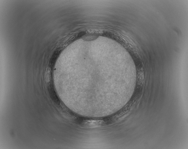 X0000115390323200912151505