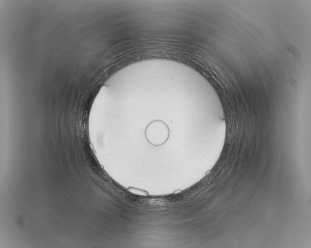 X0000115390324200912151505