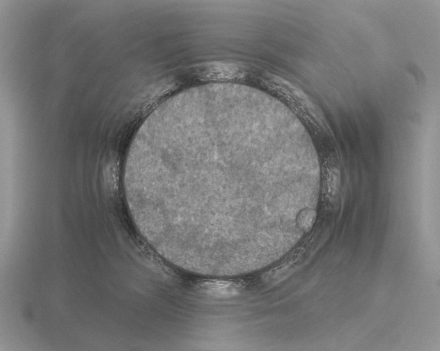 X0000115390326200912151505