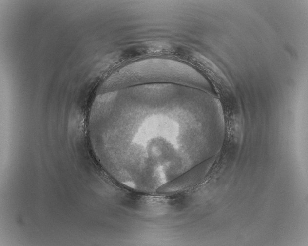 X0000115390327200912151505