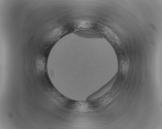 X0000115390328200912151505