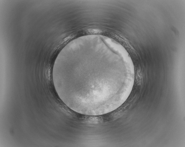 X0000115390330200912151505