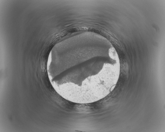 X0000115390331200912151505