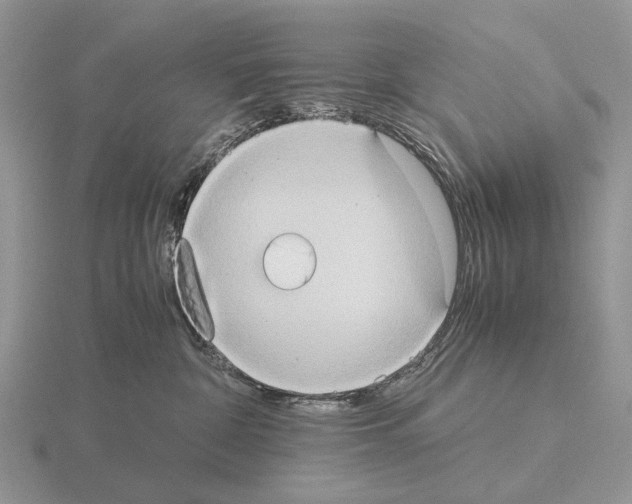 X0000115390332200912151505