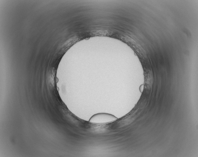 X0000115390334200912151505