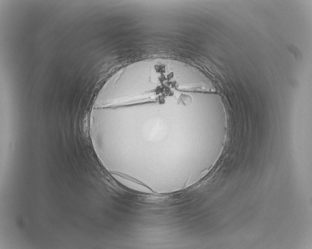 X0000115390336200912151505