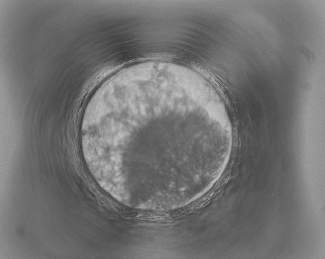 X0000115390337200912151504