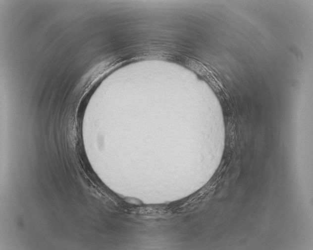 X0000115390338200912151504