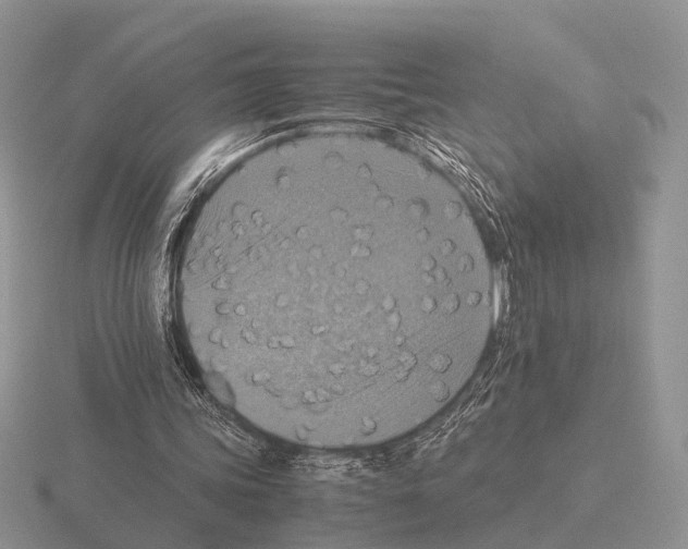 X0000115390339200912151504