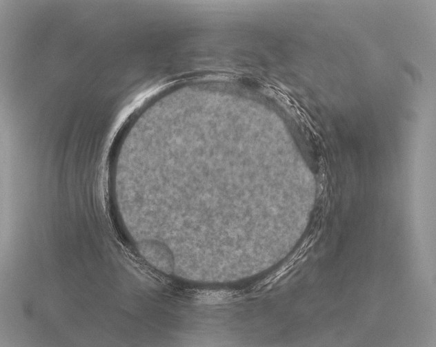 X0000115390342200912151504