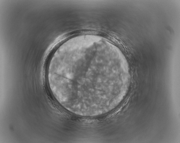 X0000115390343200912151504