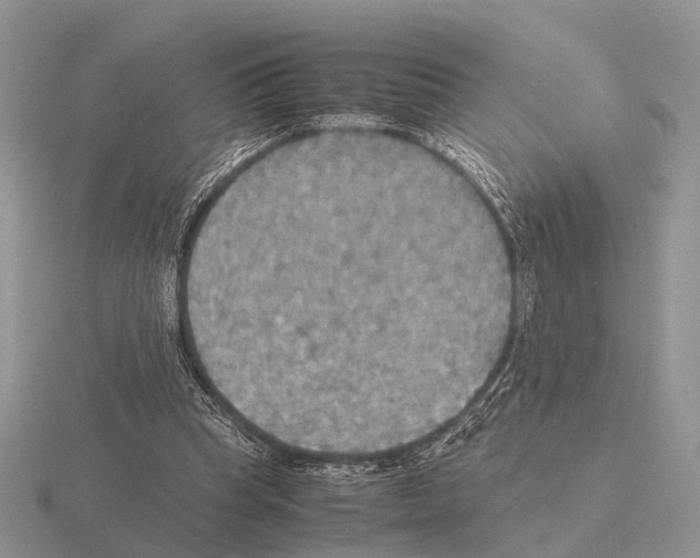 X0000115390345200912151504