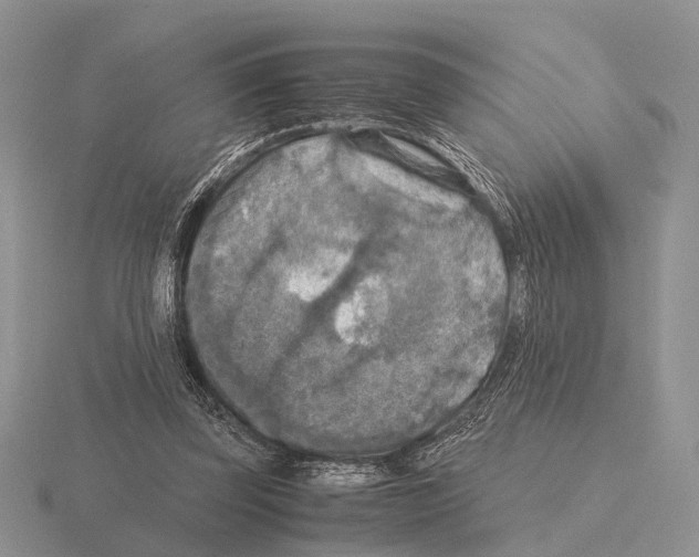 X0000115390347200912151504