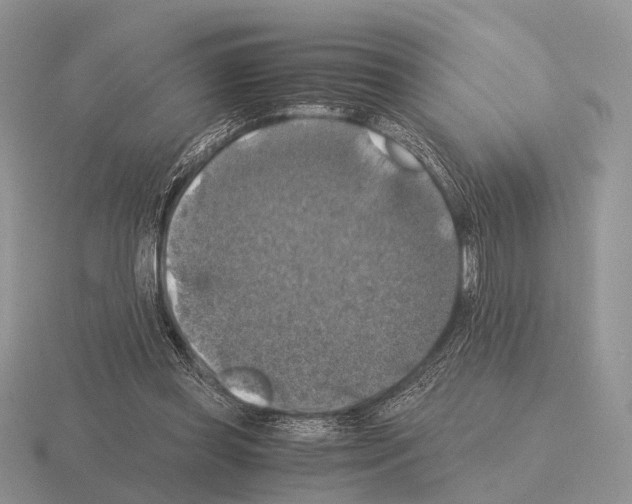 X0000115390349200912151504