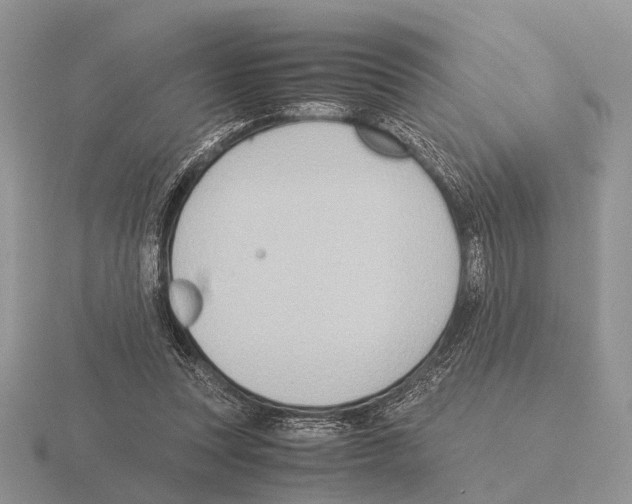 X0000115390351200912151504