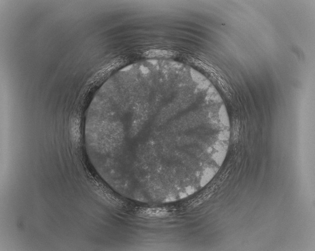 X0000115390353200912151504