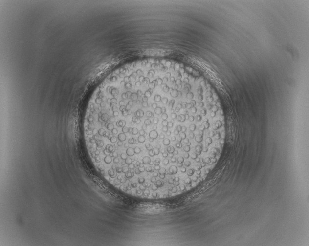 X0000115390354200912151504