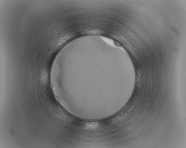 X0000115390355200912151504