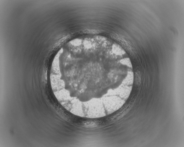 X0000115390358200912151504