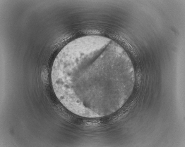 X0000115390359200912151504