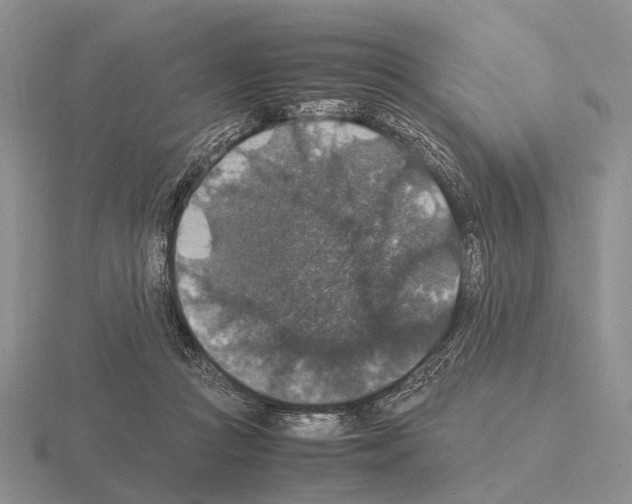 X0000115390361200912151504