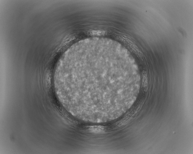 X0000115390363200912151504