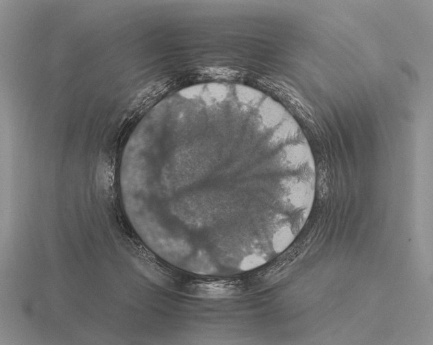 X0000115390365200912151504