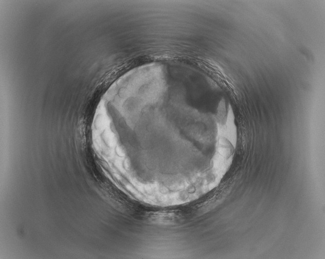 X0000115390366200912151504