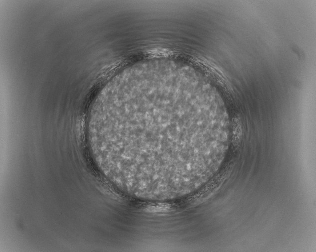 X0000115390369200912151504