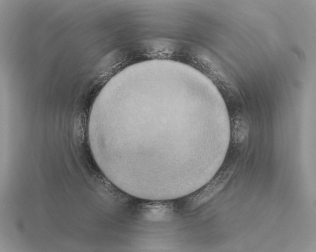 X0000115390370200912151504