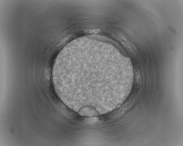 X0000115390374200912151504