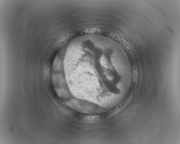 X0000115390375200912151504