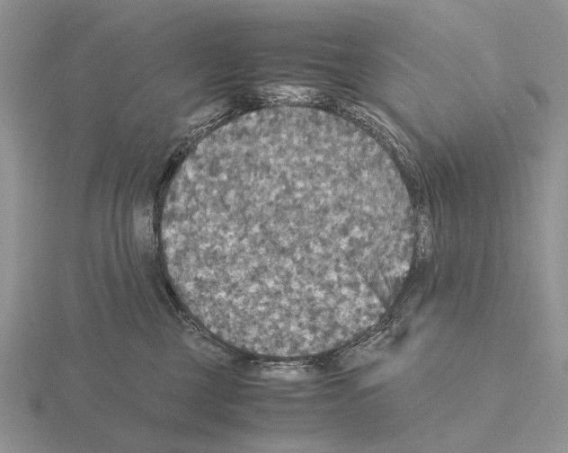 X0000115390377200912151504