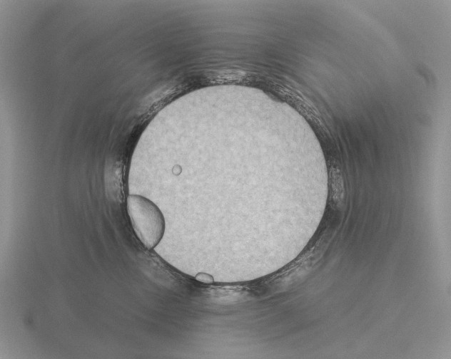 X0000115390378200912151505