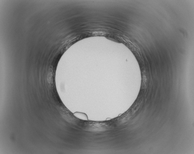 X0000115390379200912151505