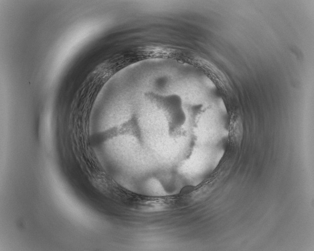 X0000115390381200912151505