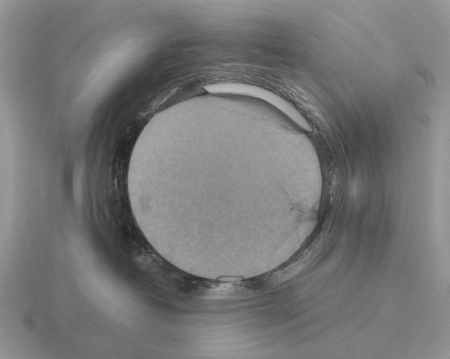 X0000115390382200912151505