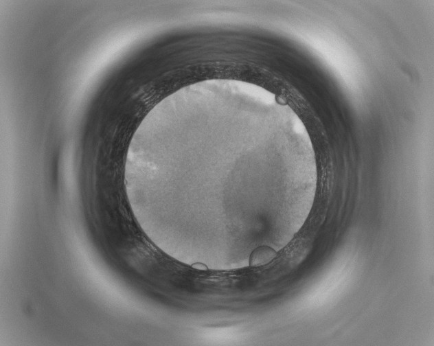 X0000115390383200912151505