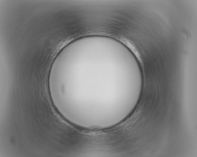 X0000115390385200912151504