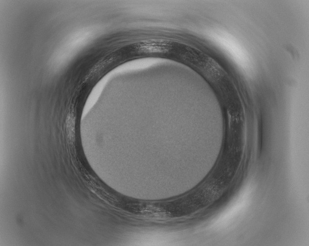 X0000115390387200912151504