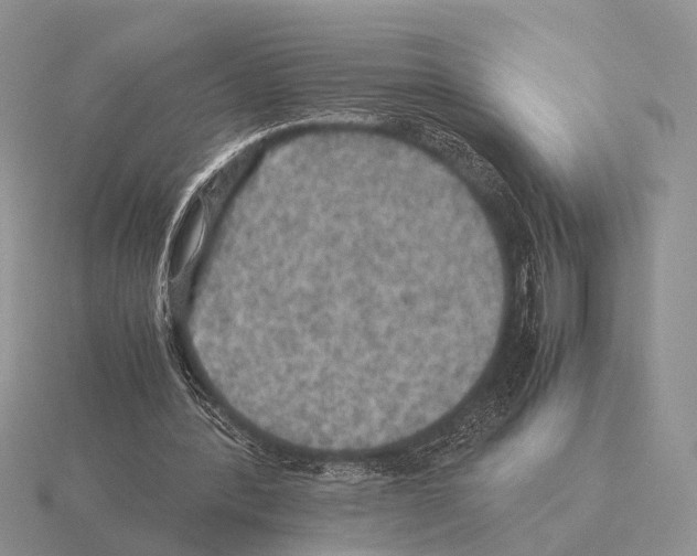 X0000115390388200912151504