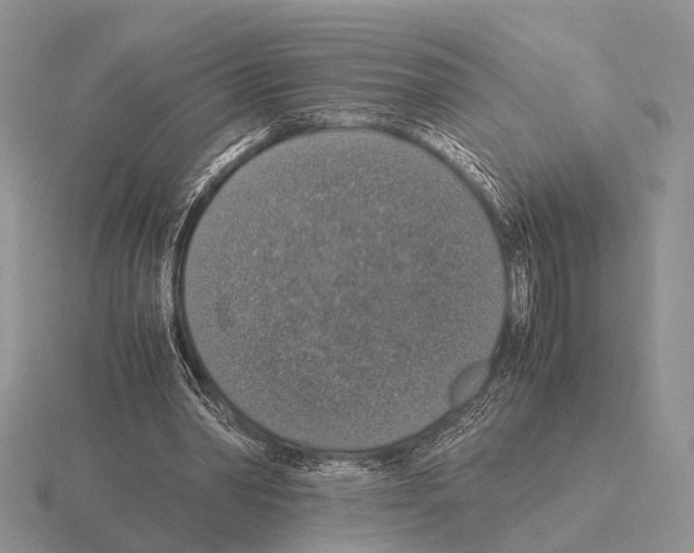 X0000115390390200912151504