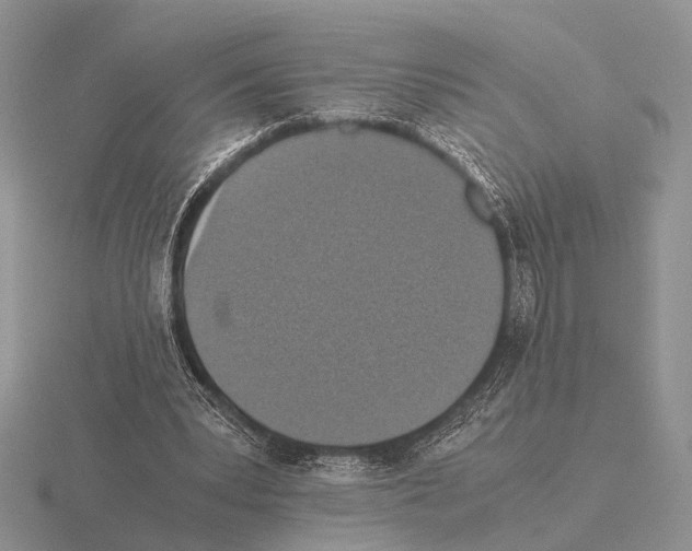 X0000115390391200912151504